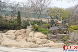 4月20日午山 石老人观光园休闲登山活动召集 两星半