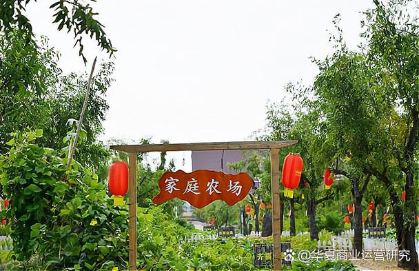 生态休闲农庄 开启农业观光与有机生活的新篇章